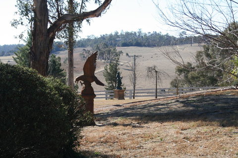 Belmont - Brisbane Tourism 34