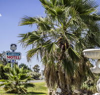 Allonville Gardens Motel - Tourism Brisbane
