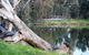 Mercure Albury - thumb 15