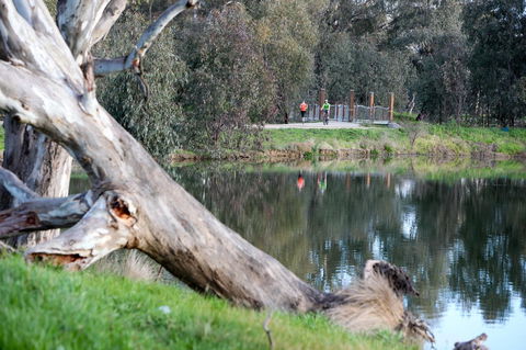 Mercure Albury - Tourism Brisbane 15