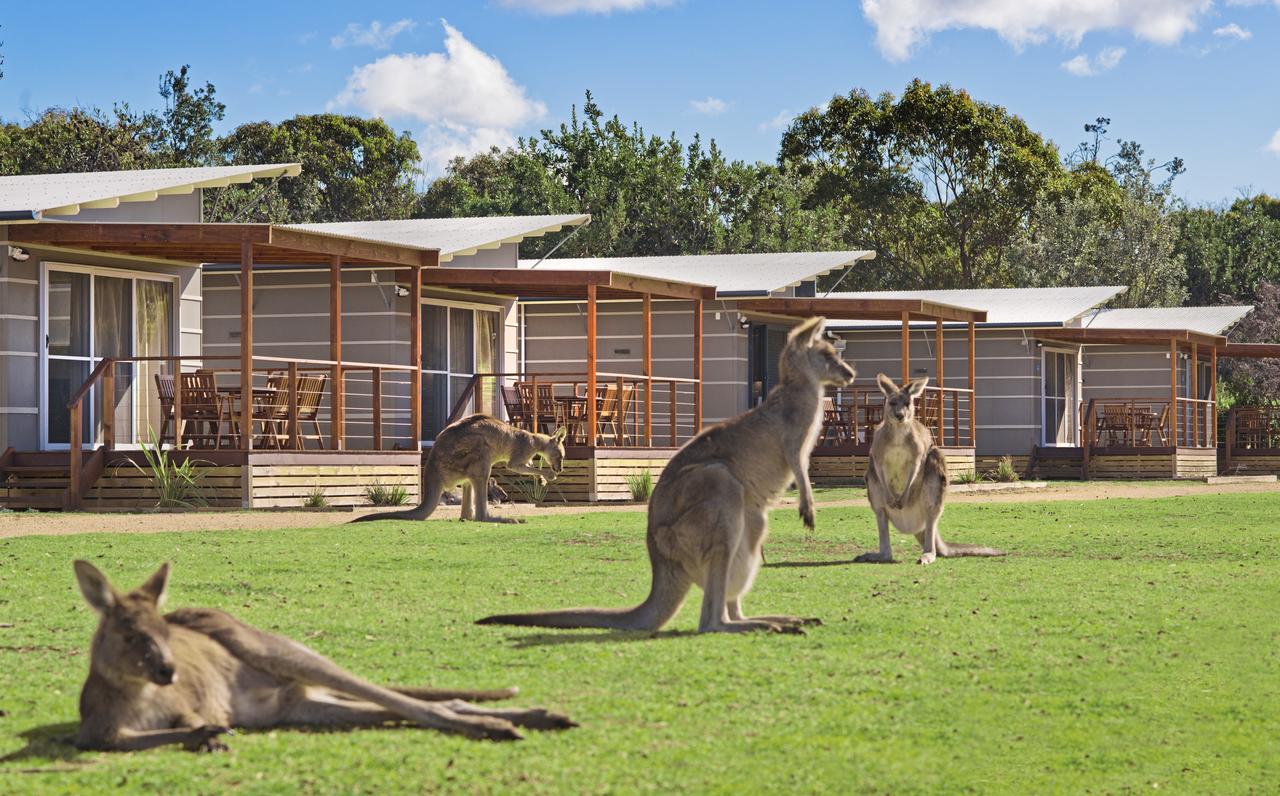  Tourism Brisbane