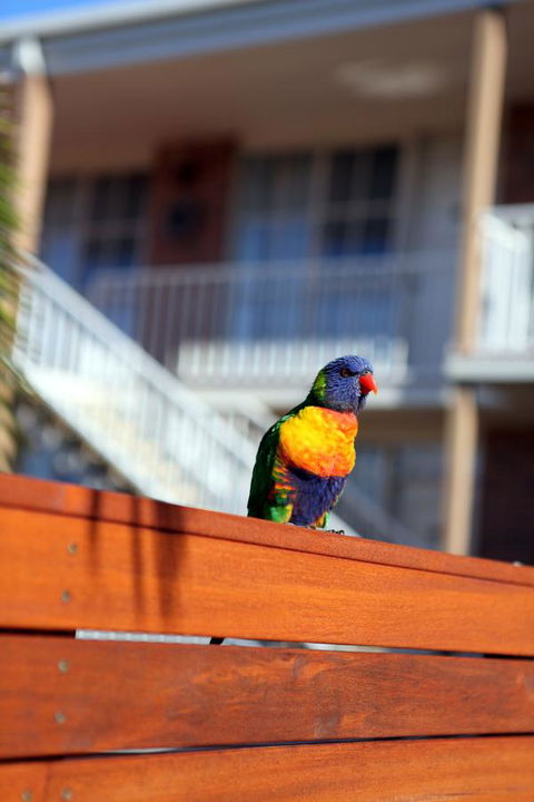 Summerhill Motor Inn - Tourism Brisbane 30
