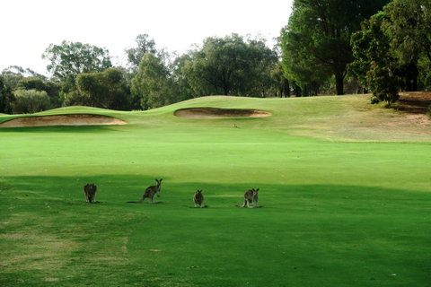 Mulwala Resort - Tourism Brisbane 40