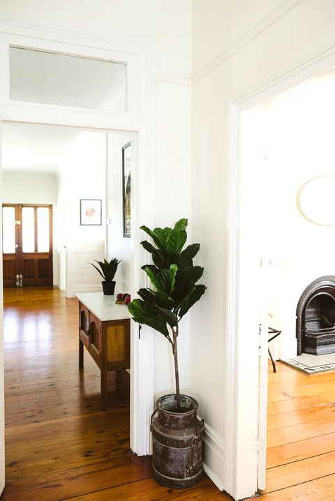 Morpeth Cottage - Tourism Brisbane 3