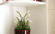 Morpeth Cottage - thumb 35