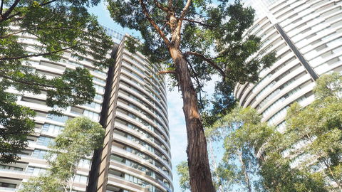 SkyGarden Sydney Olympic Park 3 & 4 Bedroom City View - Tourism Brisbane 33