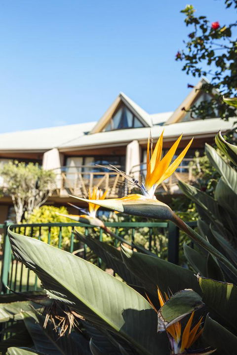 Beach Hotel Resort - Tourism Brisbane 36