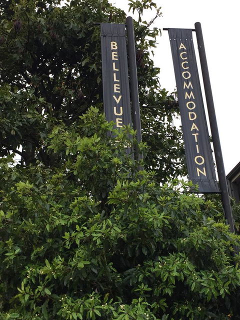 Bellevue Accommodation - Tourism Brisbane 17