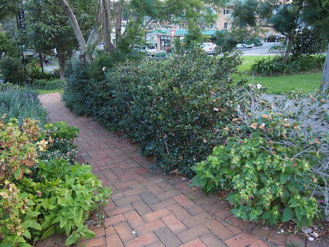 Bellevue Accommodation - Tourism Brisbane 22