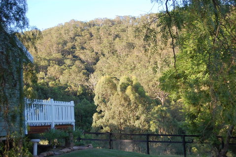 Cadair Cottages - Brisbane Tourism 16