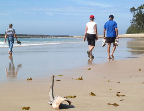 Mollymook Surfbeach Motel & Apartments - Tourism Brisbane 13