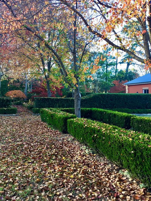 Chanticleer Gardens Barn Cottage With A Pool - Tourism Brisbane 37