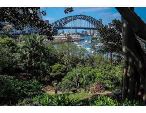 North Sydney Historic Whalers Cottage - Tourism Brisbane 12