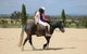 Belisi Farmstay Cottage - thumb 28
