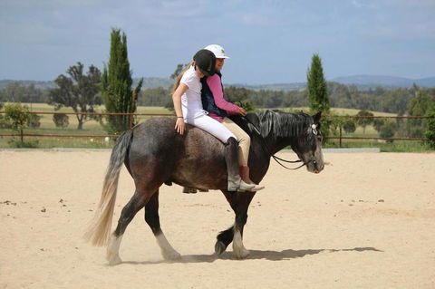 Belisi Farmstay Cottage - Tourism Brisbane 28