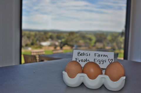 Belisi Farmstay Cottage - Tourism Brisbane 20