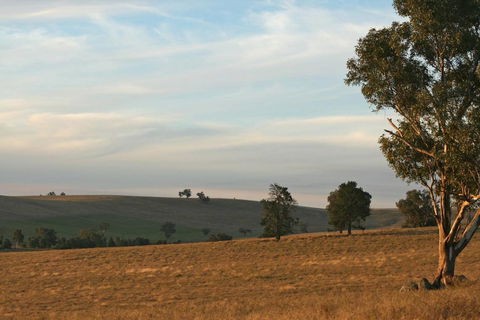 Belisi Farmstay Cottage - Tourism Brisbane 33