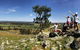 Belisi Farmstay Cottage - thumb 32