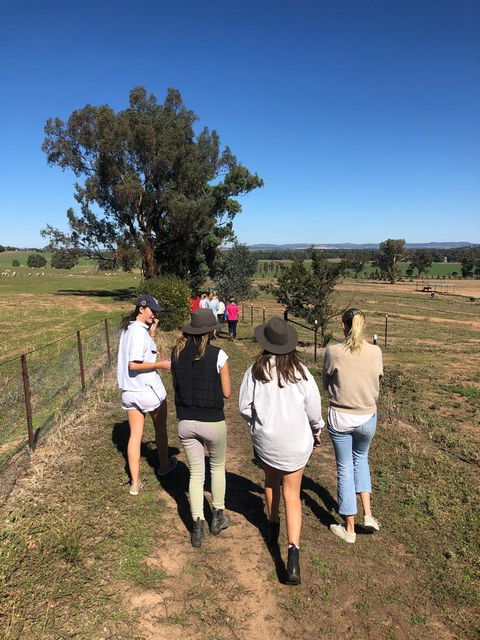 Belisi Farmstay Cottage - Tourism Brisbane 7