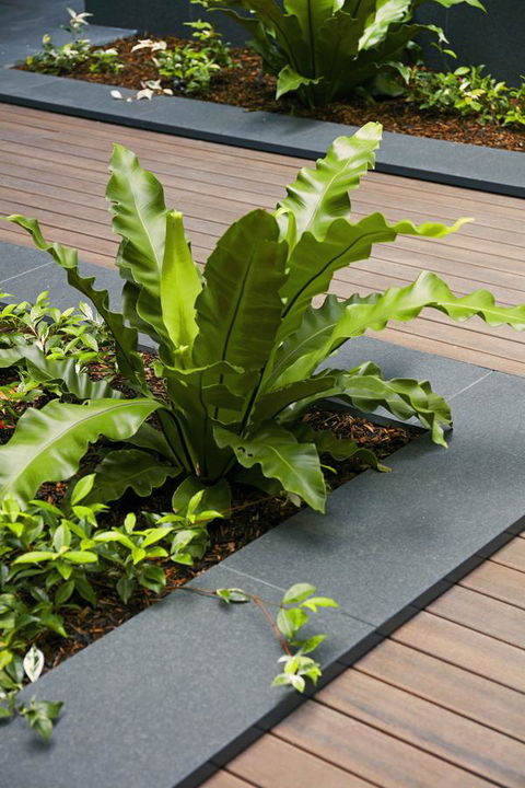 Veriu Camperdown - Brisbane Tourism 22