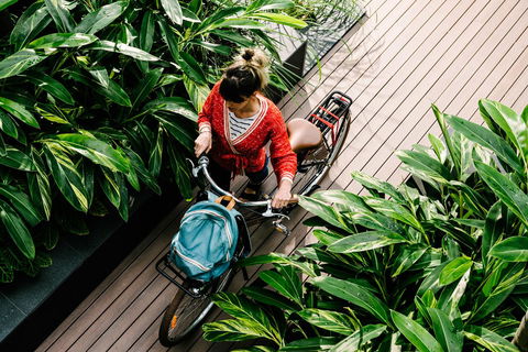 Veriu Camperdown - Brisbane Tourism 4