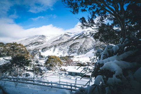 Pure Chalet Thredbo - Brisbane Tourism 31