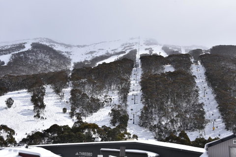 Pure Chalet Thredbo - Brisbane Tourism 6