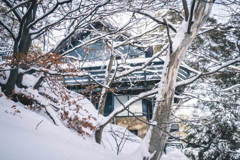 Pure Chalet Thredbo - Brisbane Tourism 27