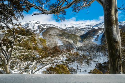 Pure Chalet Thredbo - Brisbane Tourism 17
