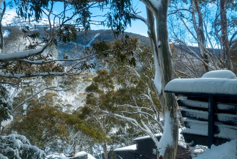 Pure Chalet Thredbo - Brisbane Tourism 30