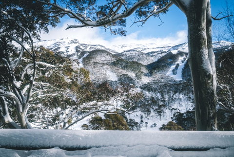 Pure Chalet Thredbo - Brisbane Tourism 2