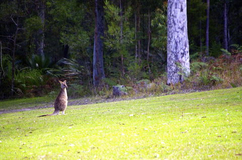 Jackson Ranch By Bannisters - Tourism Brisbane 31