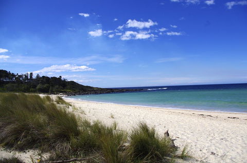 Jackson Ranch By Bannisters - Tourism Brisbane 32