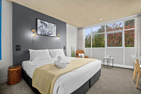 City Centre Motel Armidale - Tourism Brisbane 8