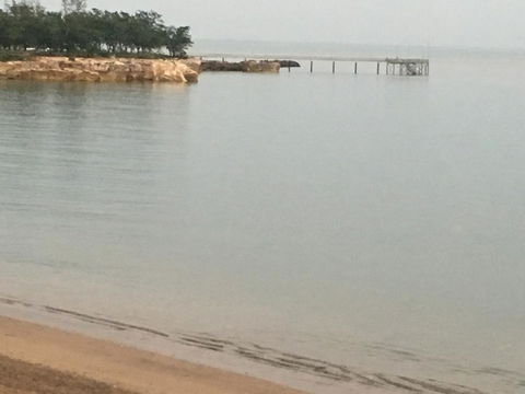 Nightcliff Foreshore Getaway - McKay Gardens - Tourism Brisbane 27