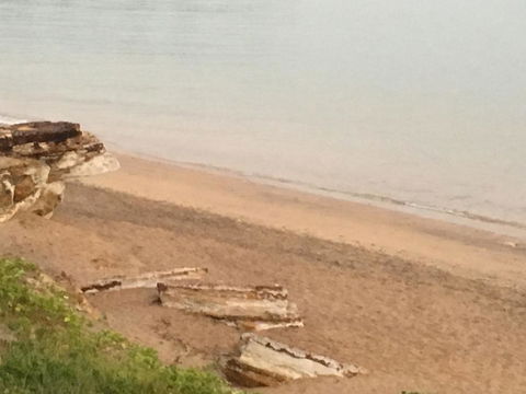 Nightcliff Foreshore Getaway - McKay Gardens - Tourism Brisbane 28