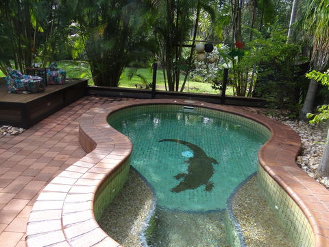 DARWIN'S SHADY ACRES RETREAT - Tourism Brisbane 13