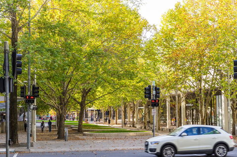 Highgate Executive Apartment City Walk Canberra - Brisbane Tourism 37