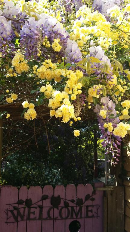 Bowral Road Bed And Breakfast - Tourism Brisbane 0