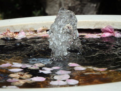 Bowral Road Bed And Breakfast - Tourism Brisbane 2