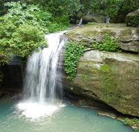 Buderim Forest Hideaway - Brisbane Tourism