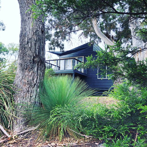 Bush Hideaway By The Beach - Brisbane Tourism 3