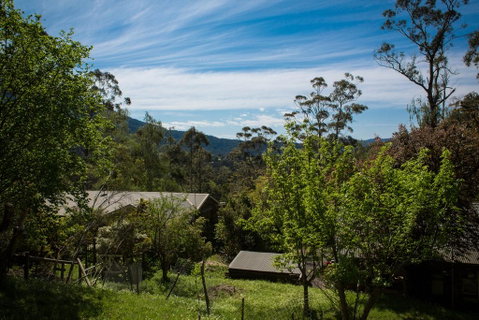 Buttercup Hill - Brisbane Tourism 2
