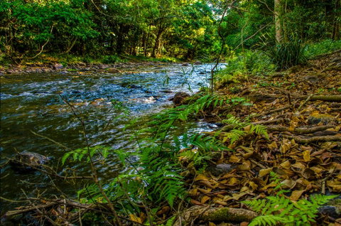 Cairns Homestead: A Peaceful Getaway - Tourism Brisbane 3