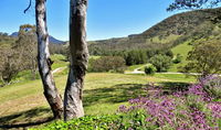 Book Capertee Accommodation Vacations Tourism Brisbane Tourism Brisbane
