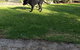 Captain's Cottage Bed & Breakfast - thumb 0