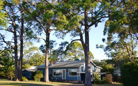 Casa Husky - Brisbane Tourism 0