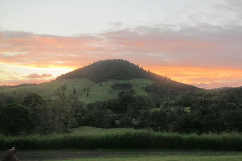 CBR Equine Cottage - Tourism Brisbane 1