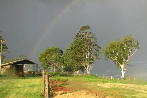 CBR Equine Cottage - Tourism Brisbane 0
