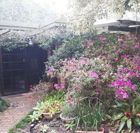 Charming country house close to Grafton - Tourism Brisbane